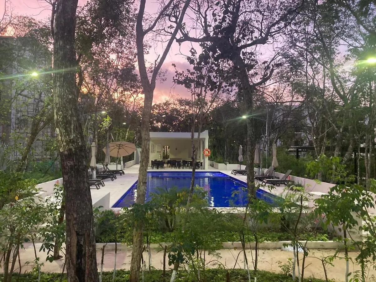 New Apartment Playa Del Carmen Mexico